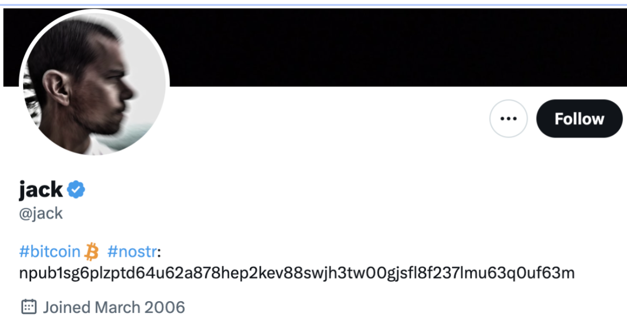 Damus and Amethyst: the New Decentralized Social Networks on Nostr | by  Bitunix | Medium
