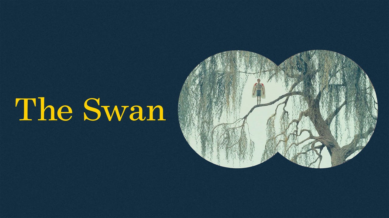 Wes Anderson's Adaptation of The Swan is Genuinely Terrifying