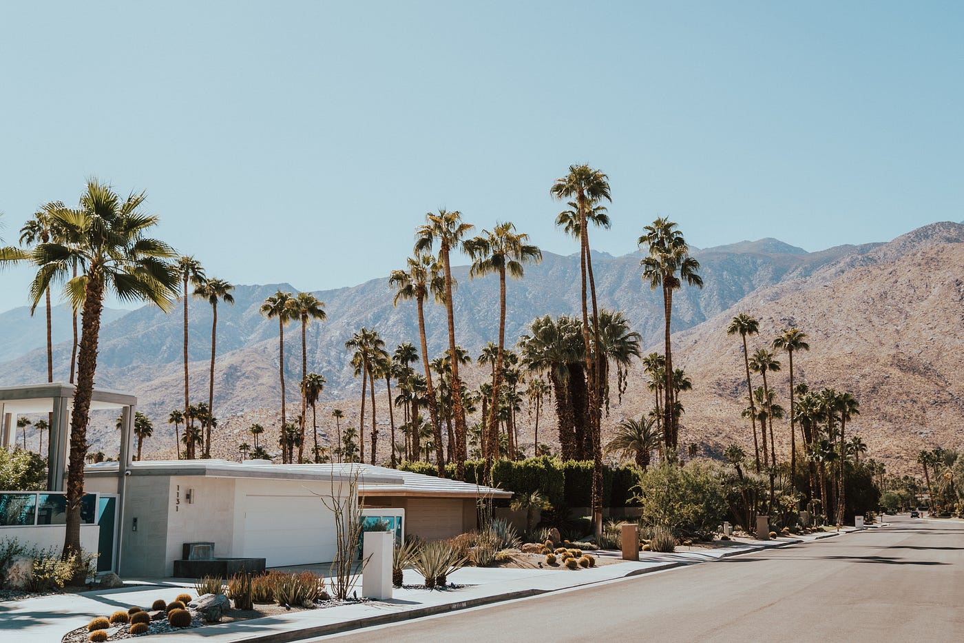 The Palm Springs Government Burned Down Their Neighborhood — Now They're  Seeking Reparations