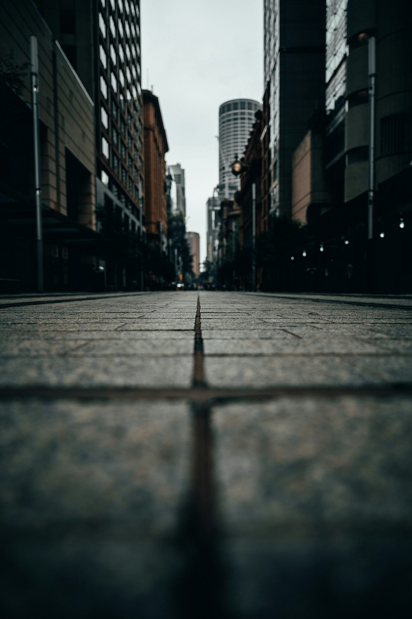 Photo by zaya odeesho on Unsplash