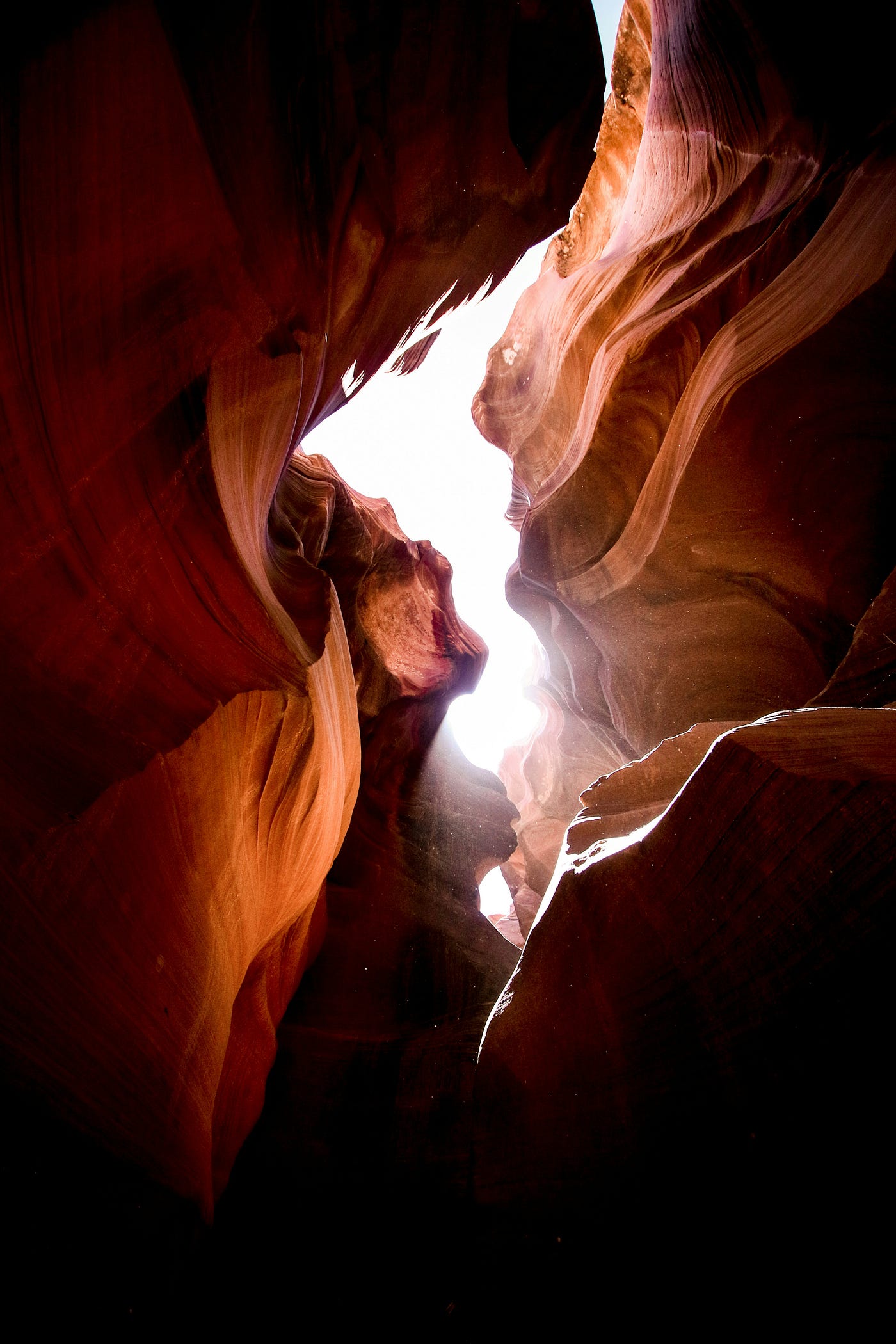 Photo by Jeremy Bishop on Unsplash
