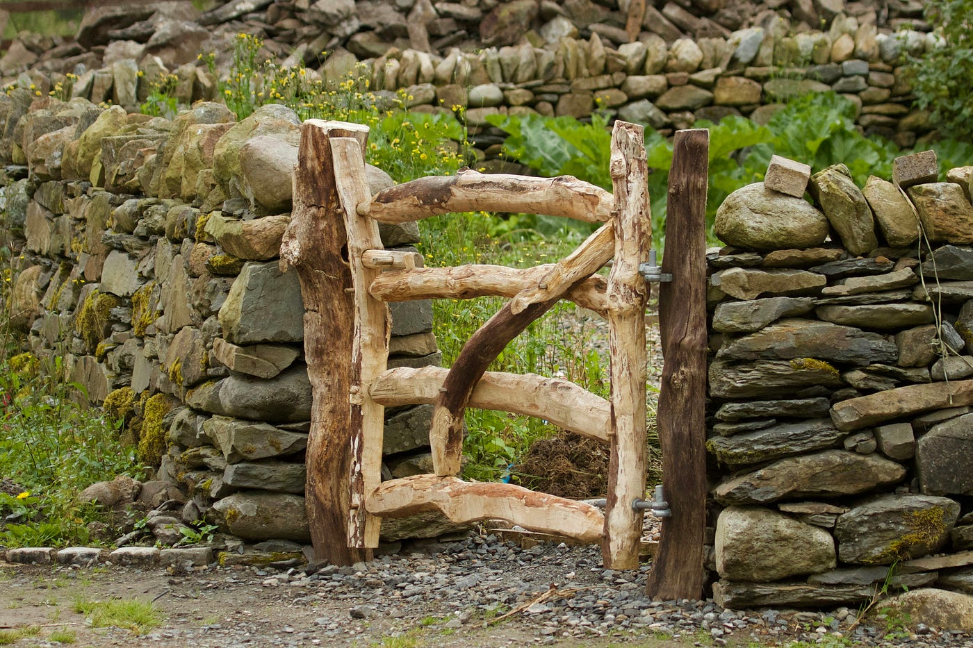Photo by Heather Wilde on Unsplash
