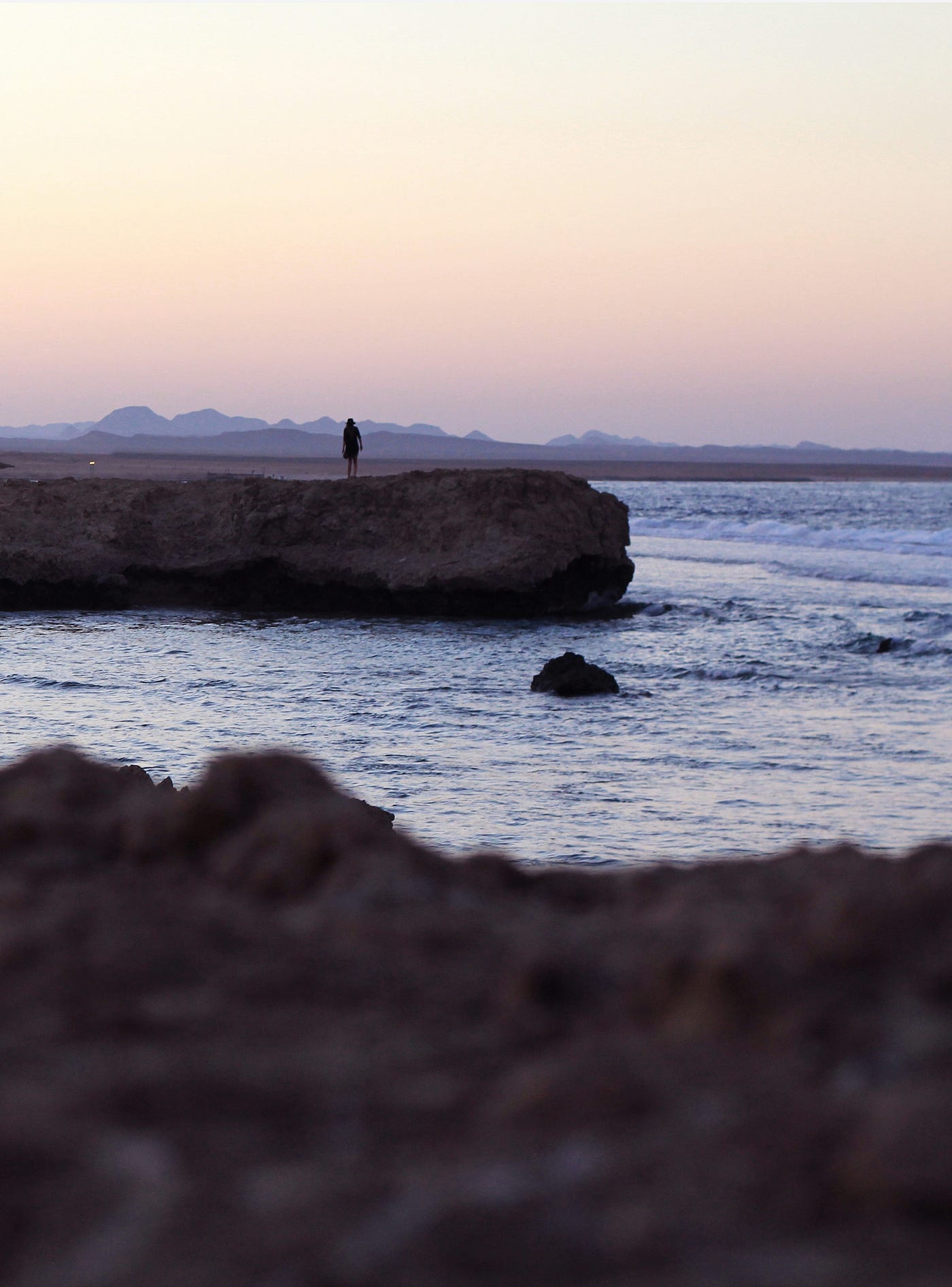 Photo by Anna Wangler on Unsplash