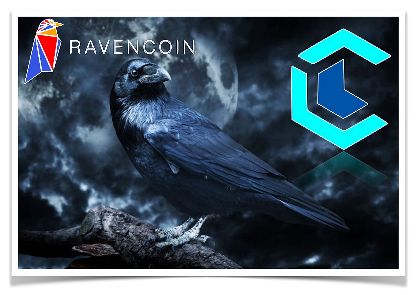 Ravencoin Review — A Bitcoin Code Fork Looking to Bring Real-World Assets  onto Blockchain | by Coin Crunch | HackerNoon.com | Medium