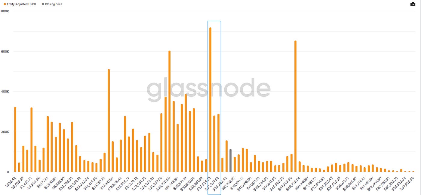 满堂花醉，剑凌清秋｜WTR 11.13