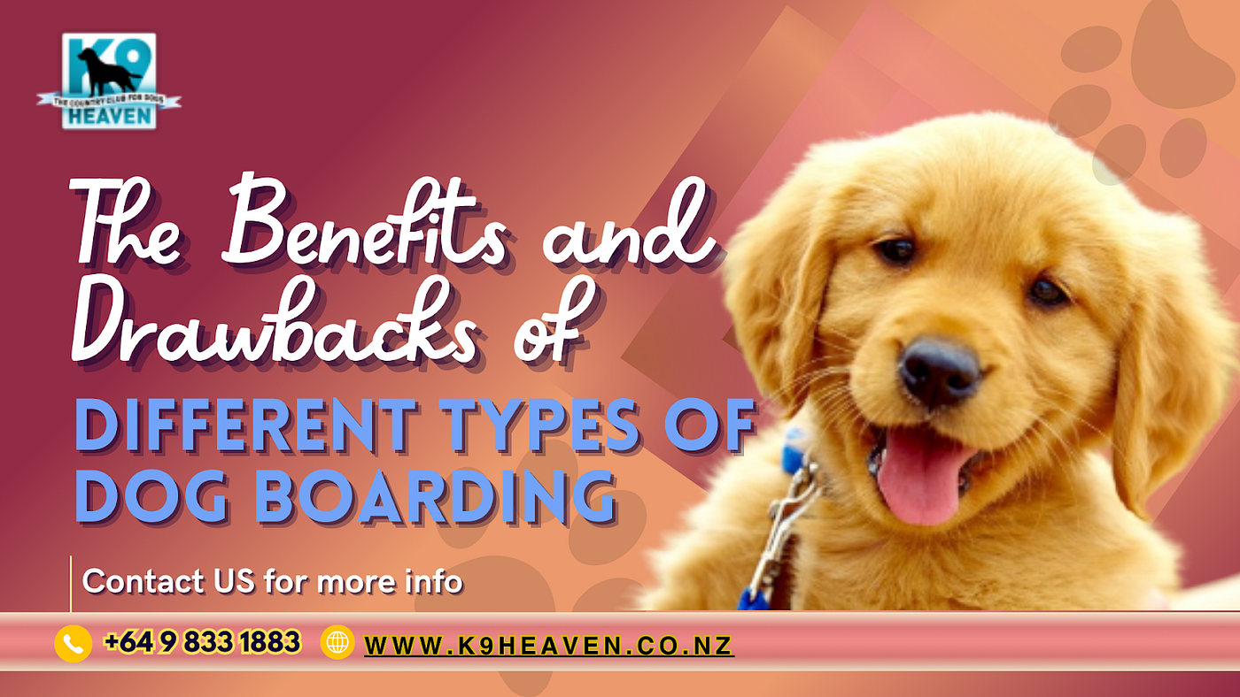 Top 9 Benefits of Dog Boarding