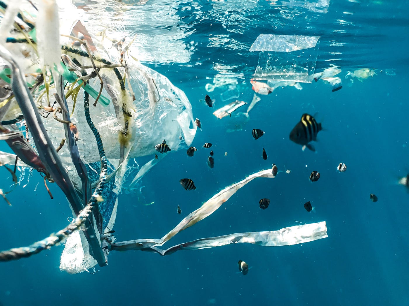 Small-scale autonomous boat made out of recycled water bottles and a  Tupperware container