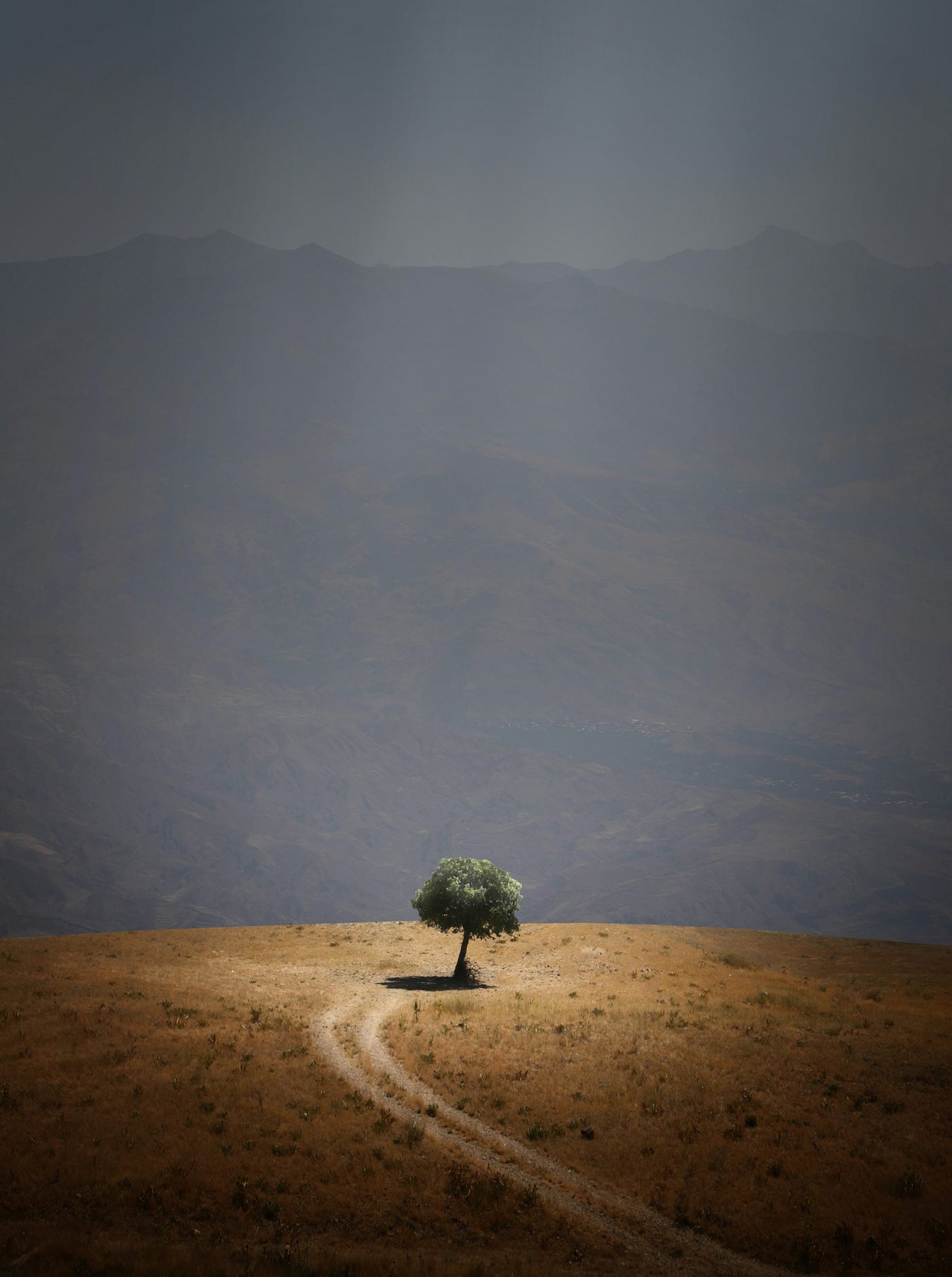 Photo by Mehdi Sepehri on Unsplash