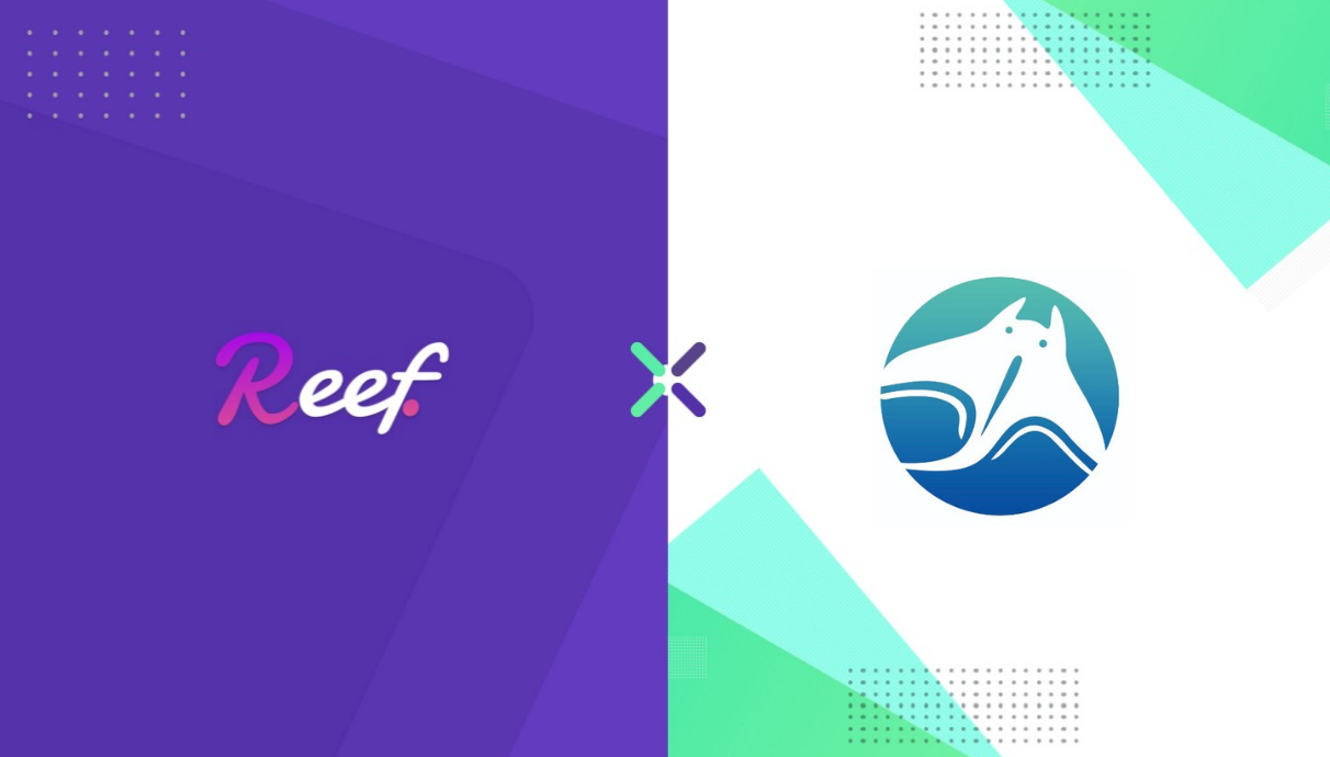 Reef and Manta Partner to Usher in DeFi Mainstream Adoption | by Reef | Reef  | Medium