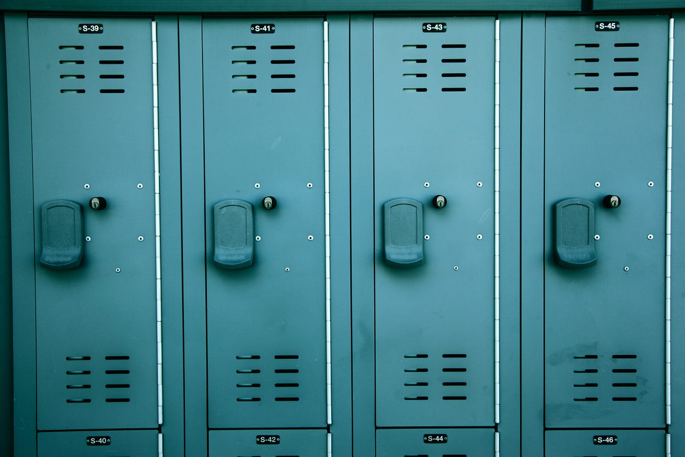 Photo by Shane on Unsplash