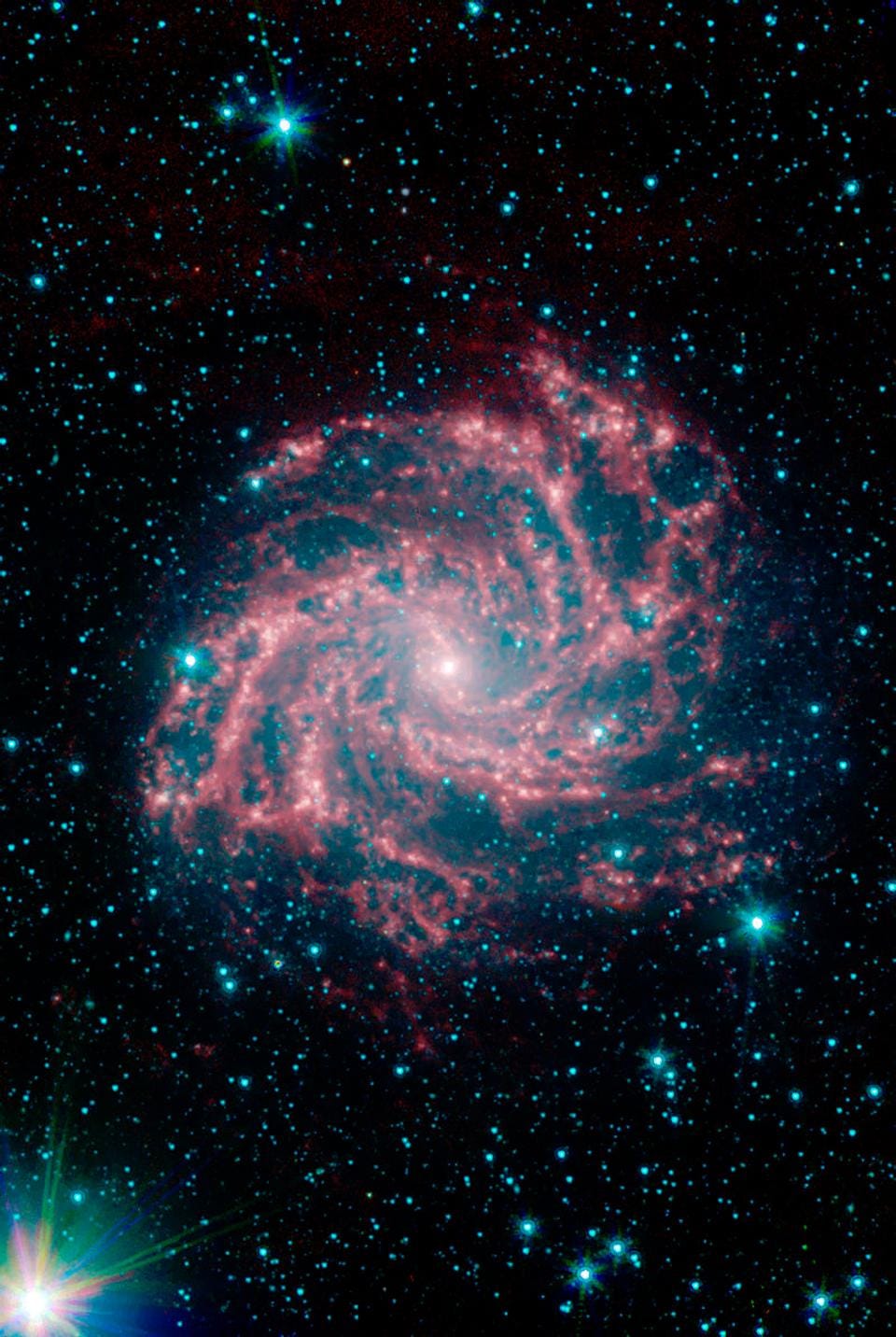 Closest supernova in years brings cosmic fireworks to Earth's