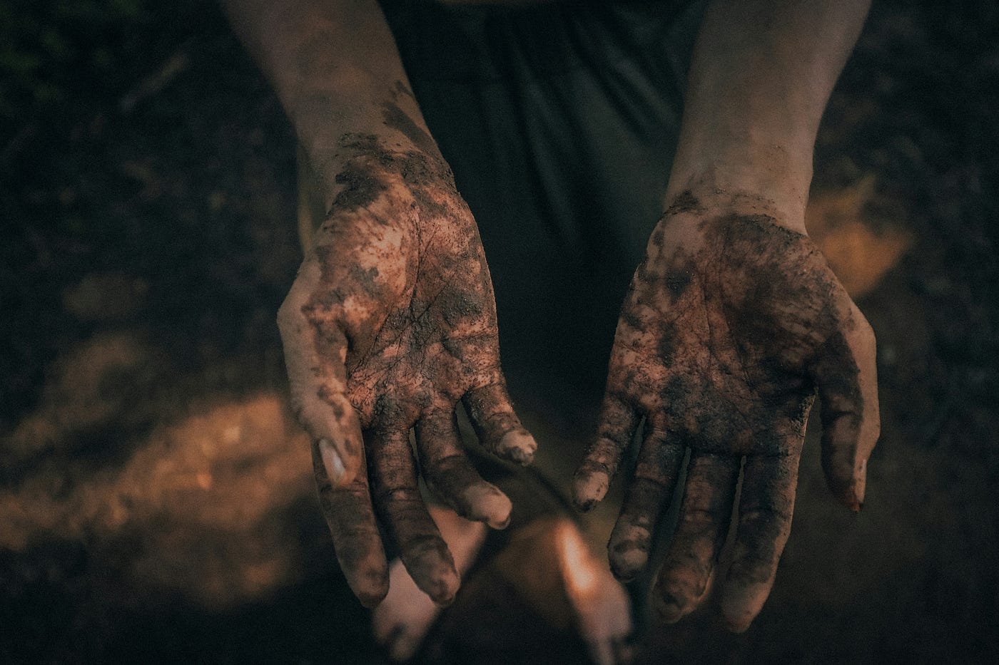 Photo by Chris Yang on Unsplash