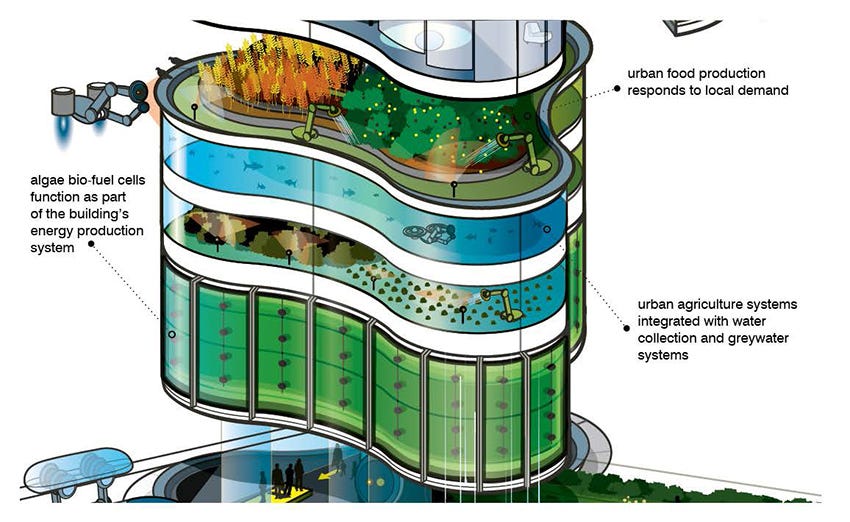 Understanding the complexities of Building-Integrated Agriculture. Can food  shape the future built environment? - ScienceDirect