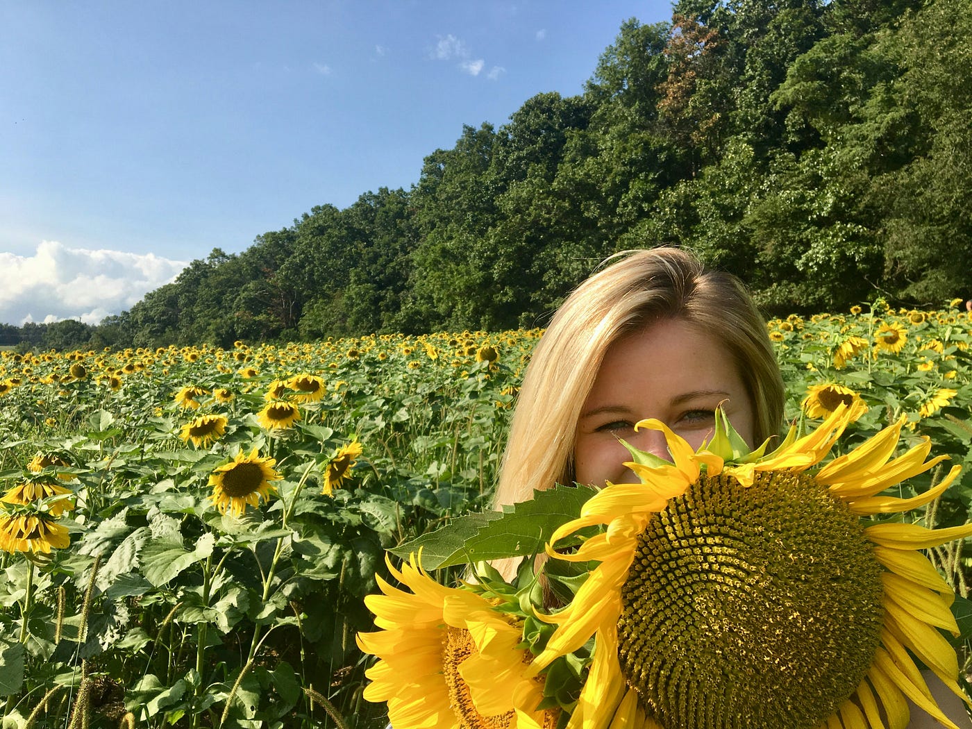 해바라기 밭에서 행복한 여자가 미소 짓고 있다