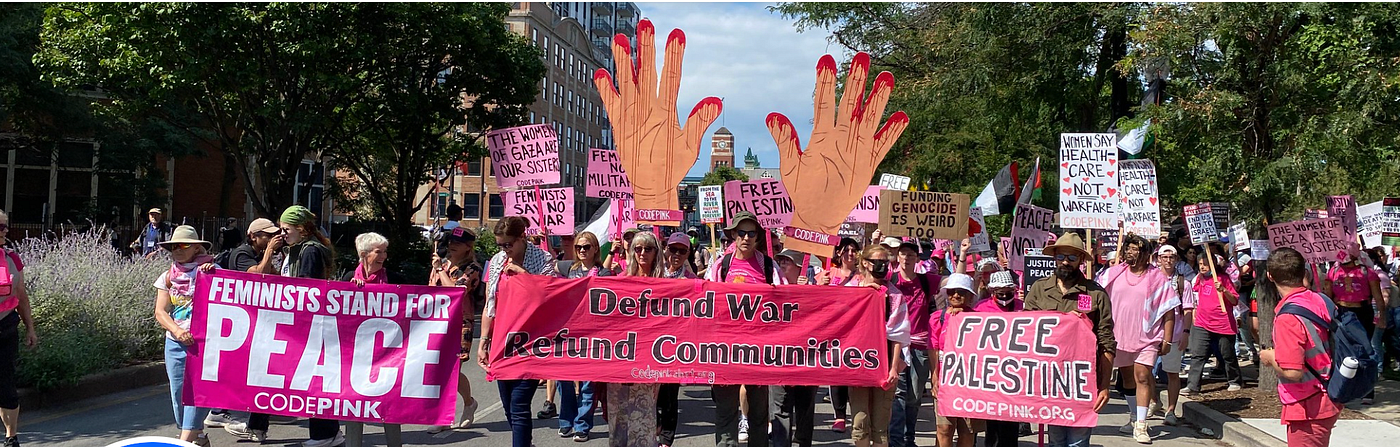 A recent Codepink action