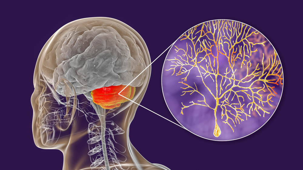 GABA Benefits