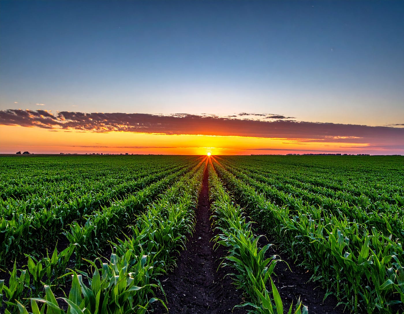 The Legal Fallout of Paraquat: 8,000 Lawsuits and Counting