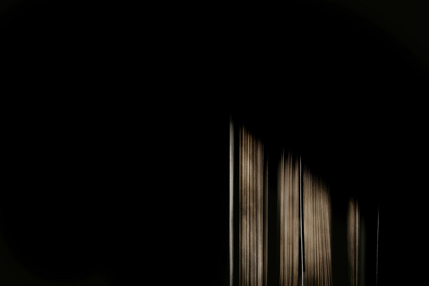 Photo by Victoria Priessnitz on Unsplash