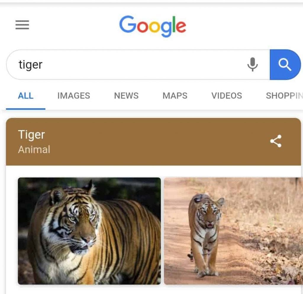 Google 3D animals list: Lions, tigers, dinos and more! - 9to5Google