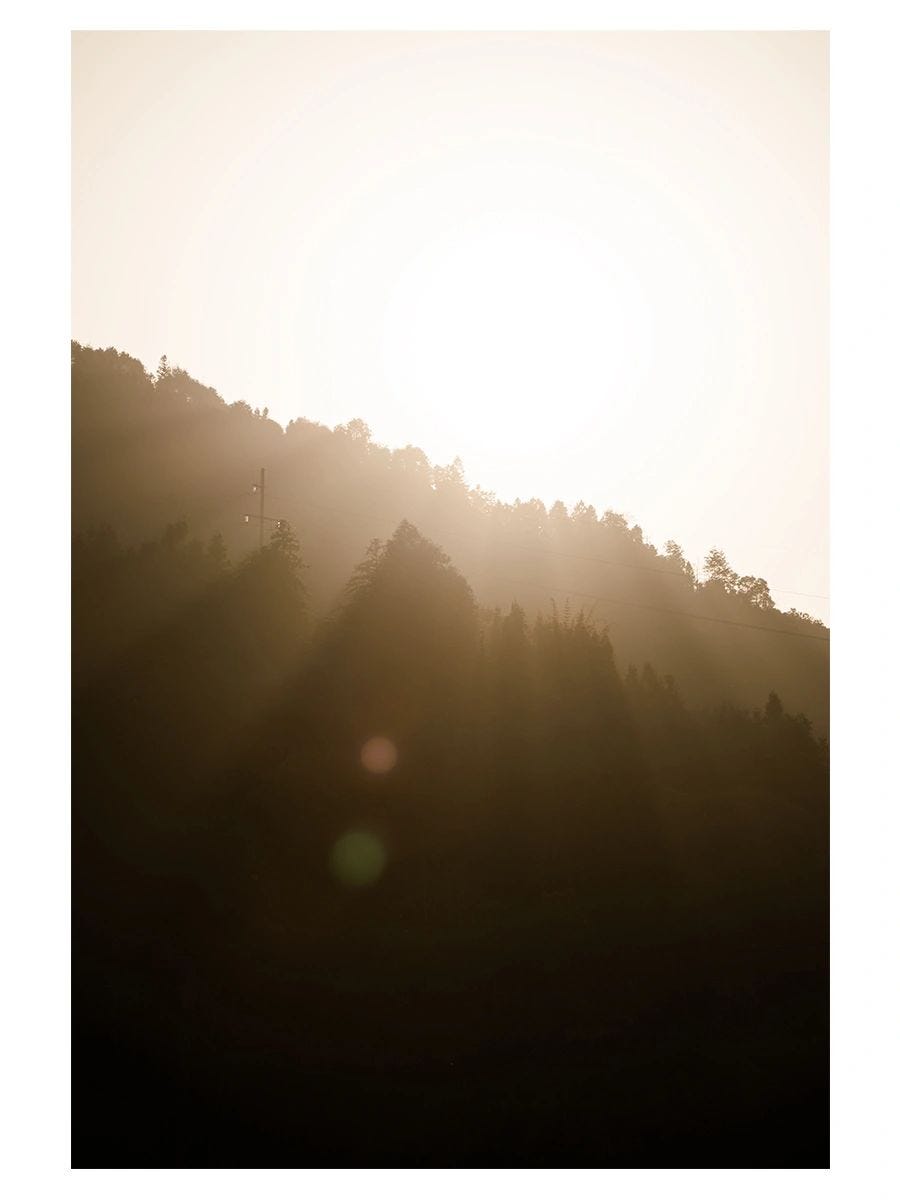 Incenzo took its inspiration from Taoism, where the dual cultivation of life and nature is equivalent to the Buddhist practice of mindfulness.