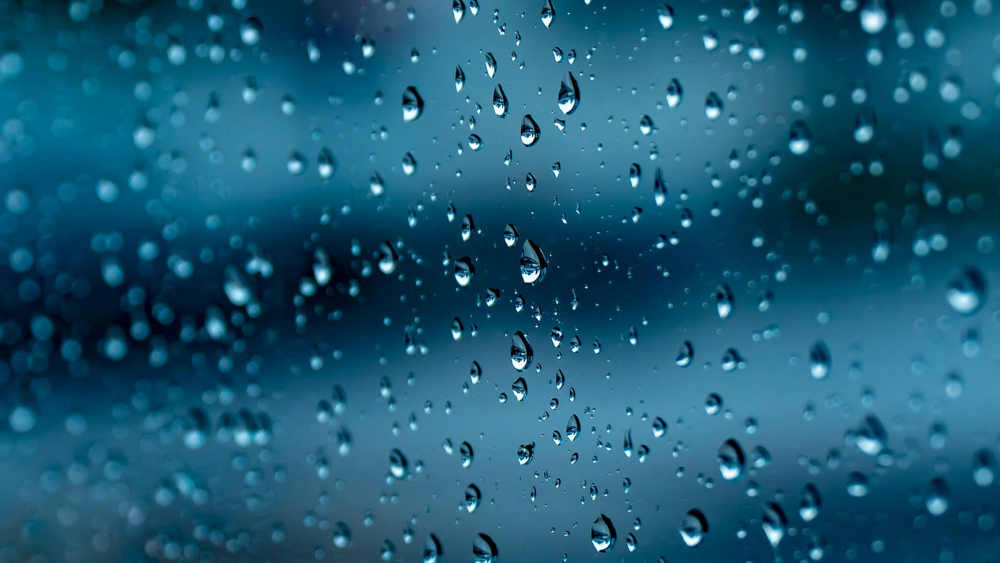 Photo by Tony Luginsland on Unsplash