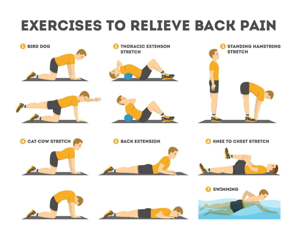 HOME EXERCISES THAT WILL HELP WITH BACK PAIN