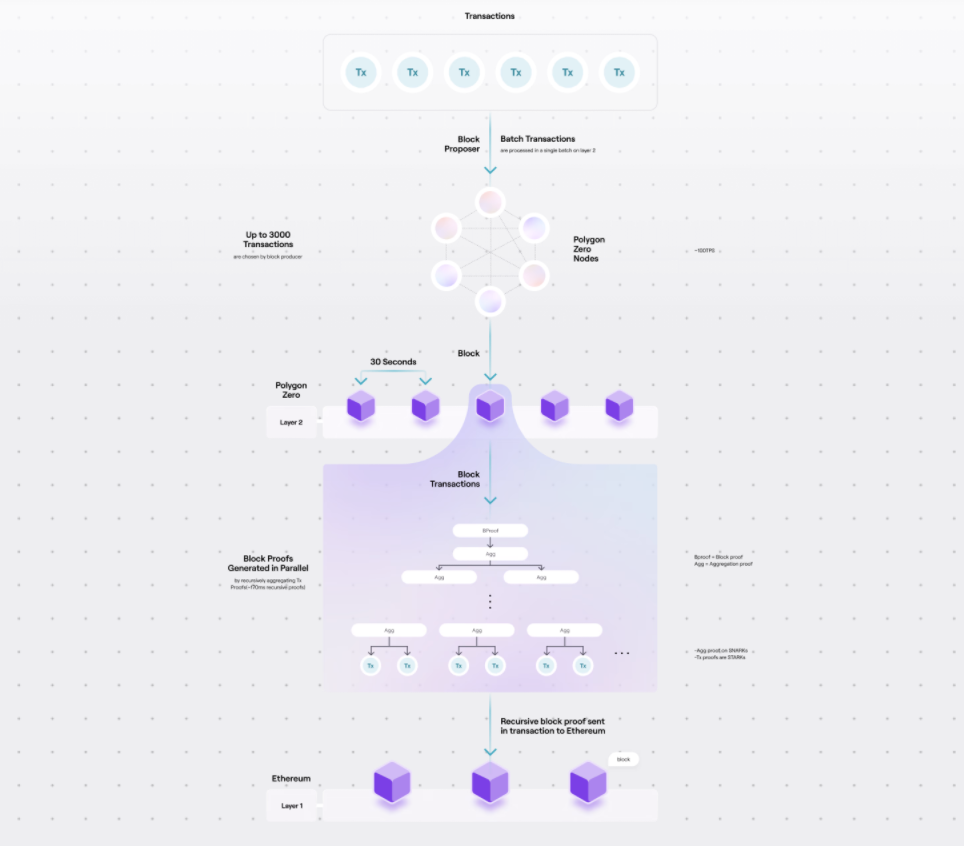 Polygon 101 — Modular 블록체인 시대의 황제 | by CoinEasy | Medium