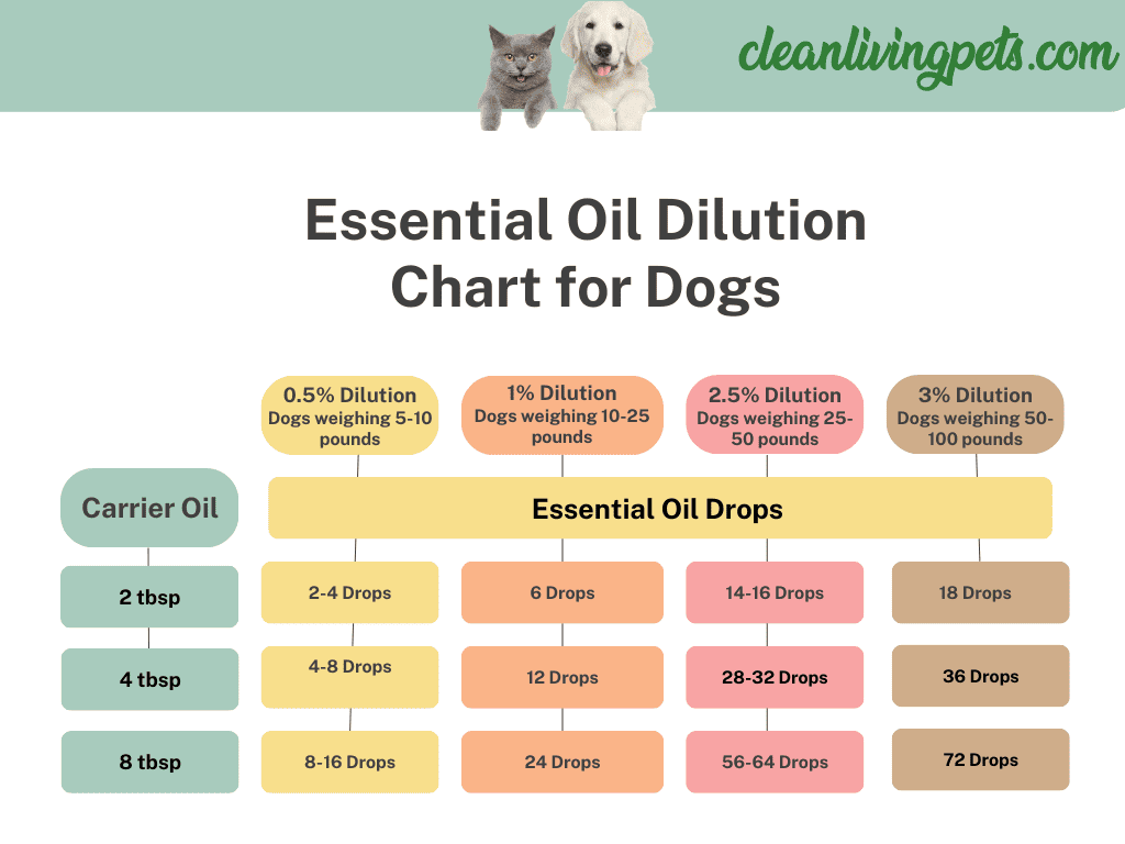 Is Orange Essential Oil Safe for Cats and Dogs? — cleanlivingpets.com | by  Anthony Verrelli | Medium