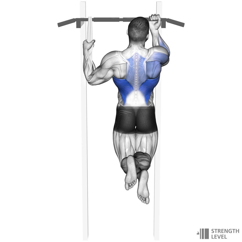 Leg assisted front lever pull-ups on parallel bars - Exercise level  intermediate