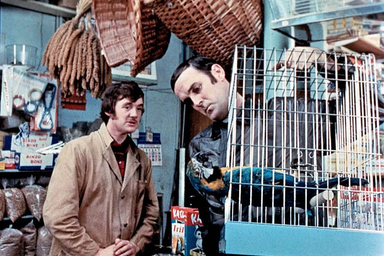 죽은 앵무새 스케치, 몬티 파이썬