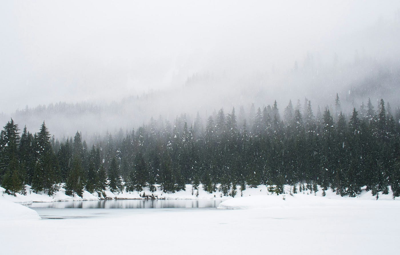 Photo by Adam Chang on Unsplash