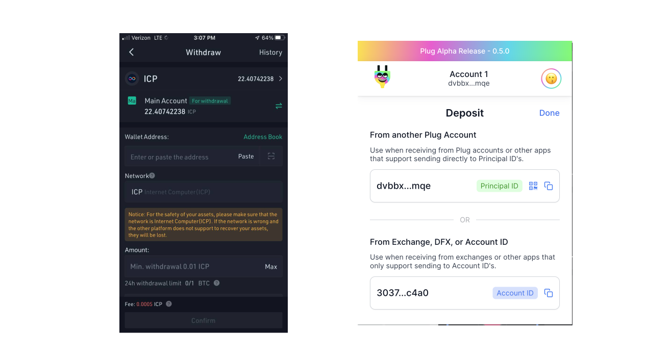 Comment Installer Plug Wallet & Obtenir Des ICP | by Impossible Things |  Medium