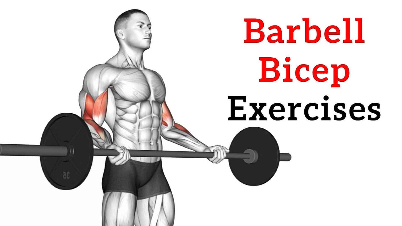 Barbell Bicep Exercises & Workout For Mass & Strength, by FIT LIFE REGIME