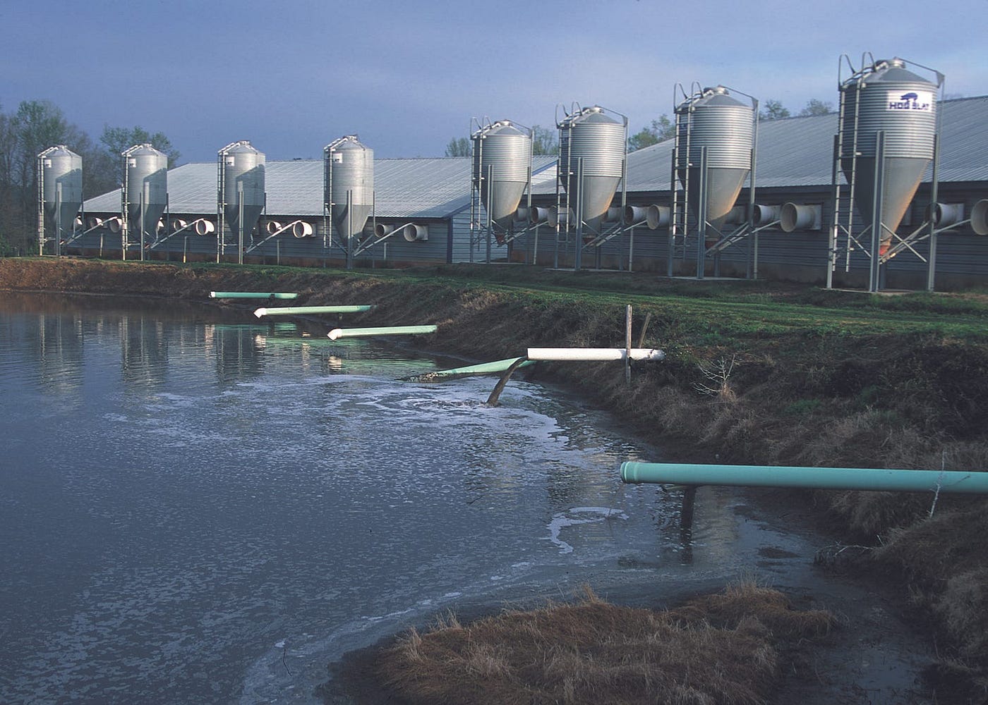 “State of the art” manure lagoon for a 900 head hog farm in Georgia. [Credit: Jeff Vanuga, USDA NRCS, public domain, via Wikimedia Commons.]