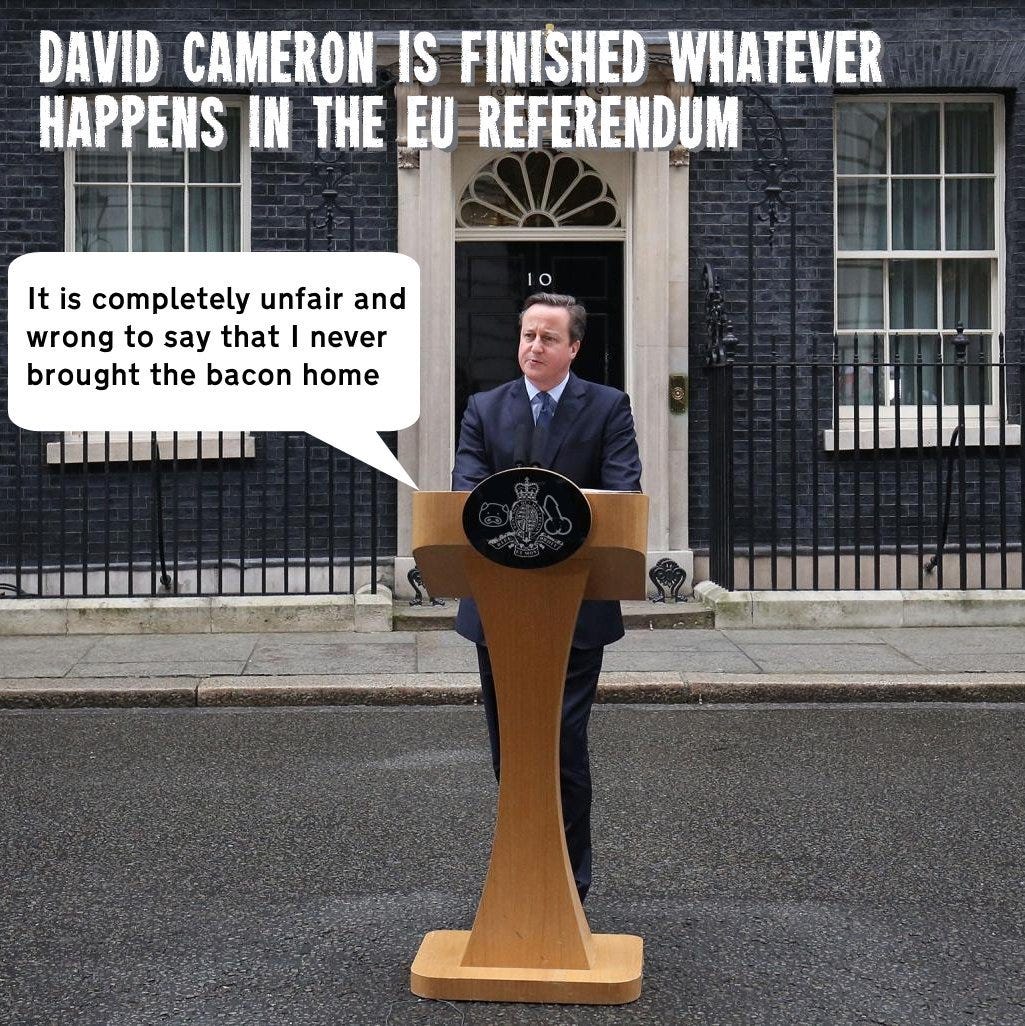 Cameron in memes. David Cameron is stepping down as a… | by Paul Taylor |  Medium, image size:1025x1026