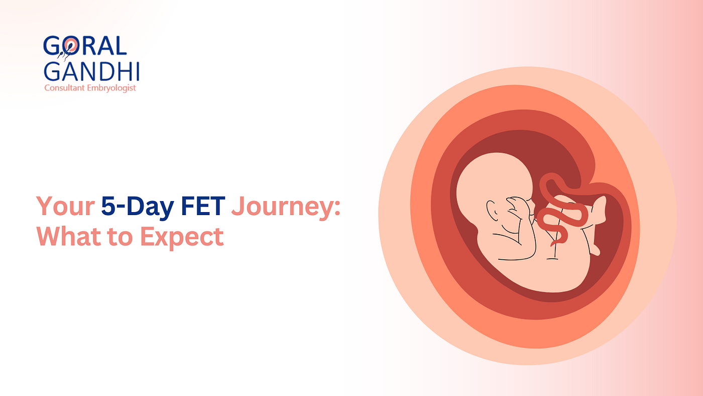 5-Day Frozen Embryo Transfer Implantation Timeline: What Happens Day by Day