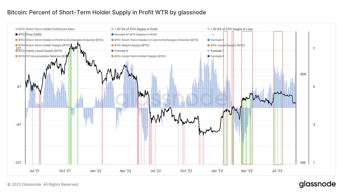 景入深林，复照青苔｜WTR 8.28