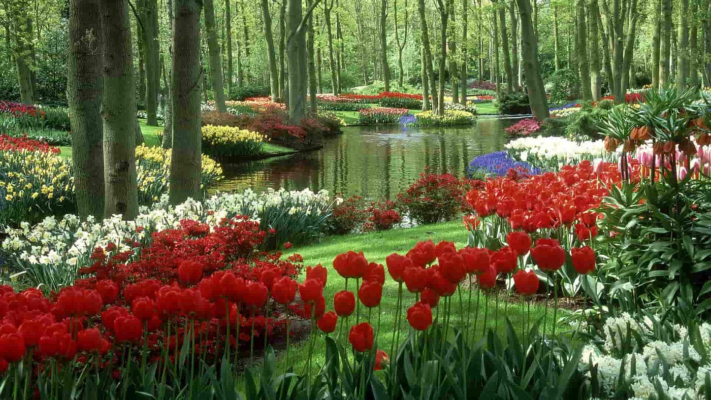 15 Most Beautiful Gardens in the World You Definitely Need to ...