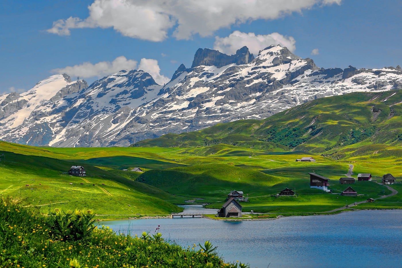 Wanderlust Wonders Chronicle Joy