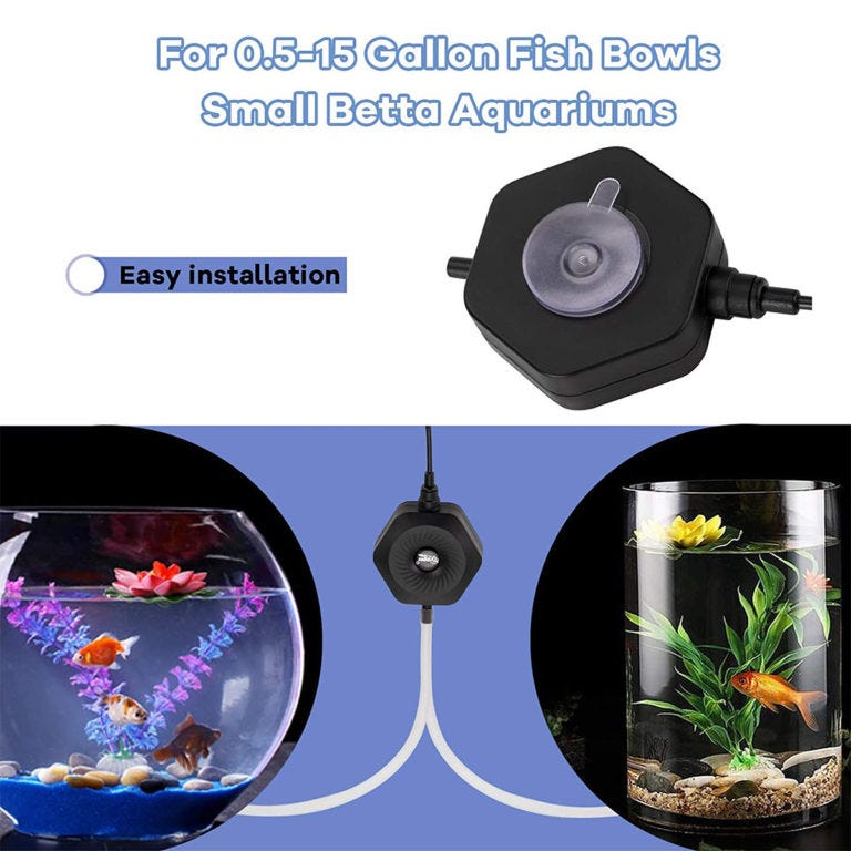 How to Use an Aquarium Air Pump (and Make Them Quieter) – Aquarium