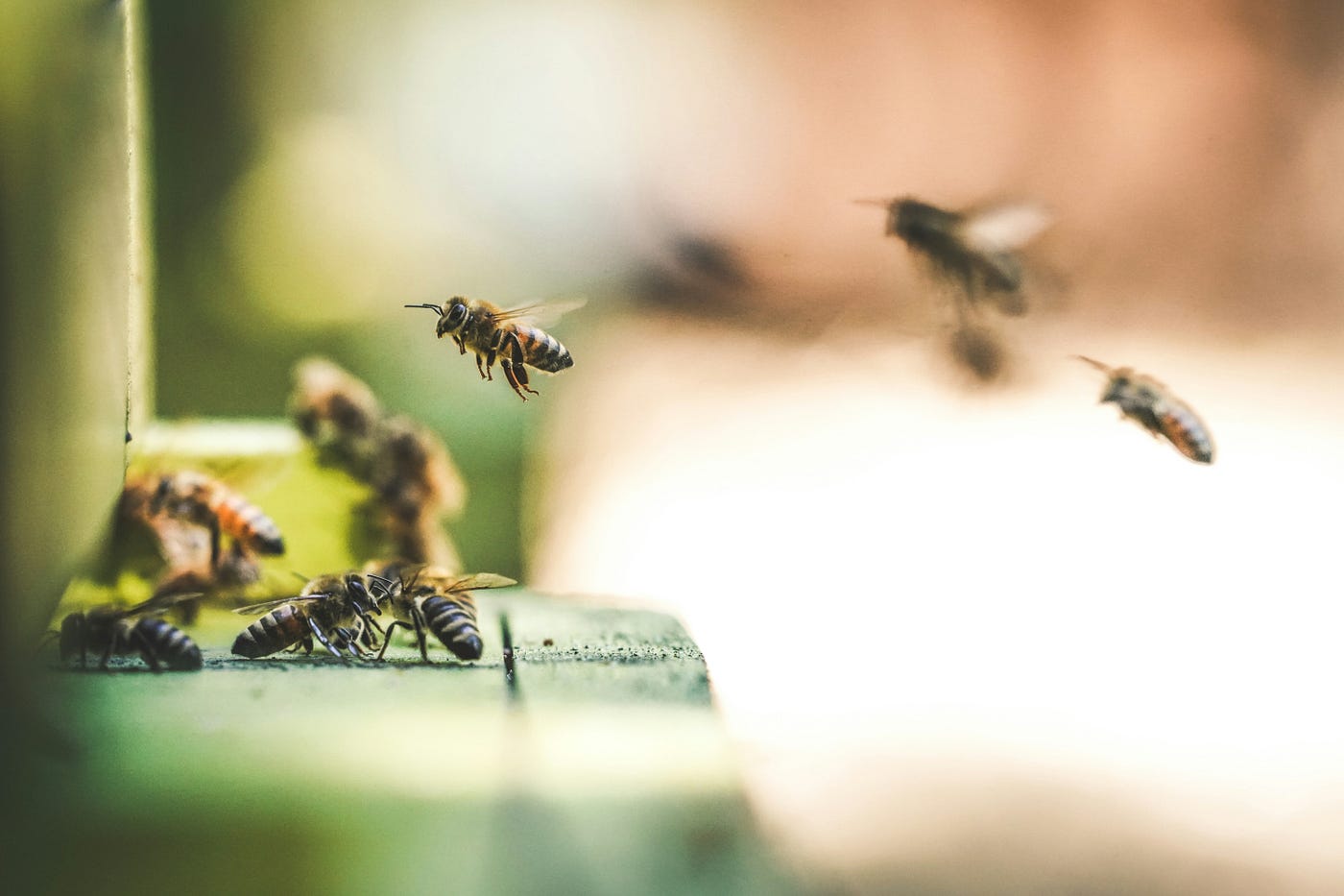 Foto ilustrasi: Eric Ward / Unsplash