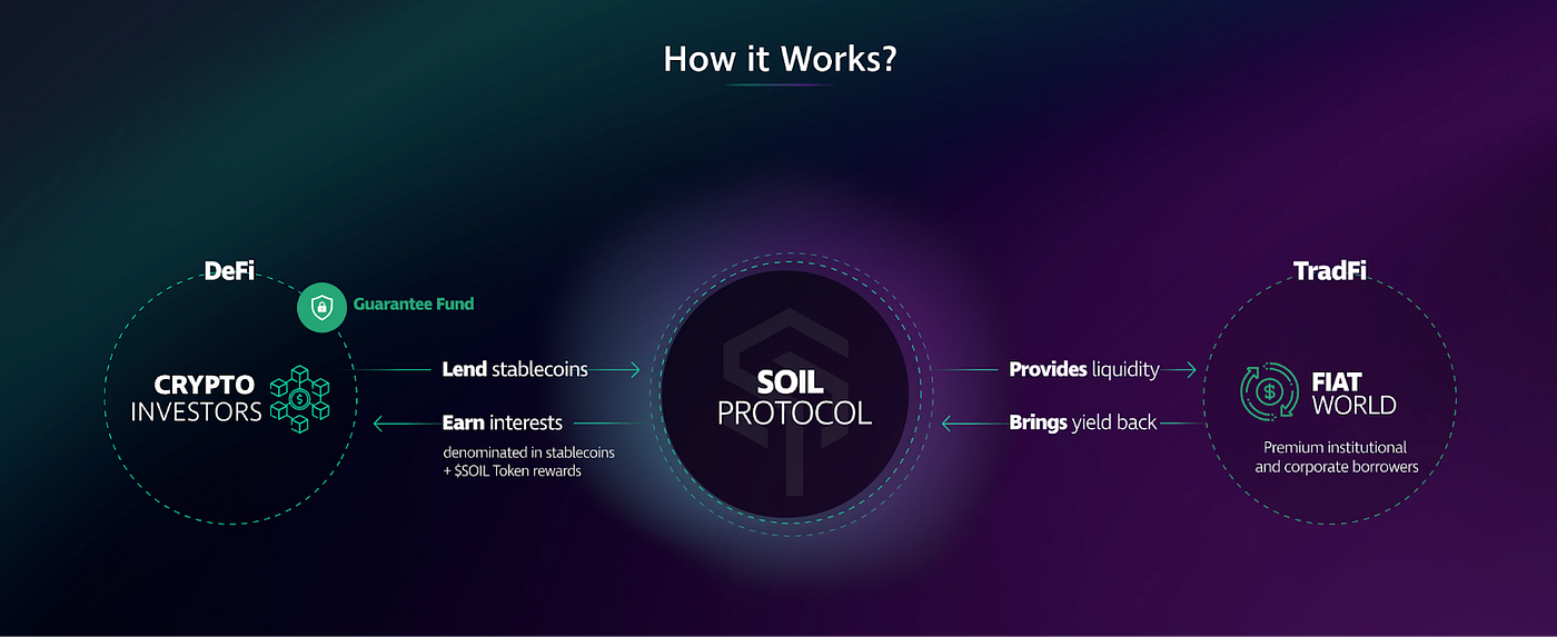 Unlock A Bankless Future with SOIL: Earn Stablecoins in a Globally  Regulated DeFi Ecosystem | by Seedify | Medium