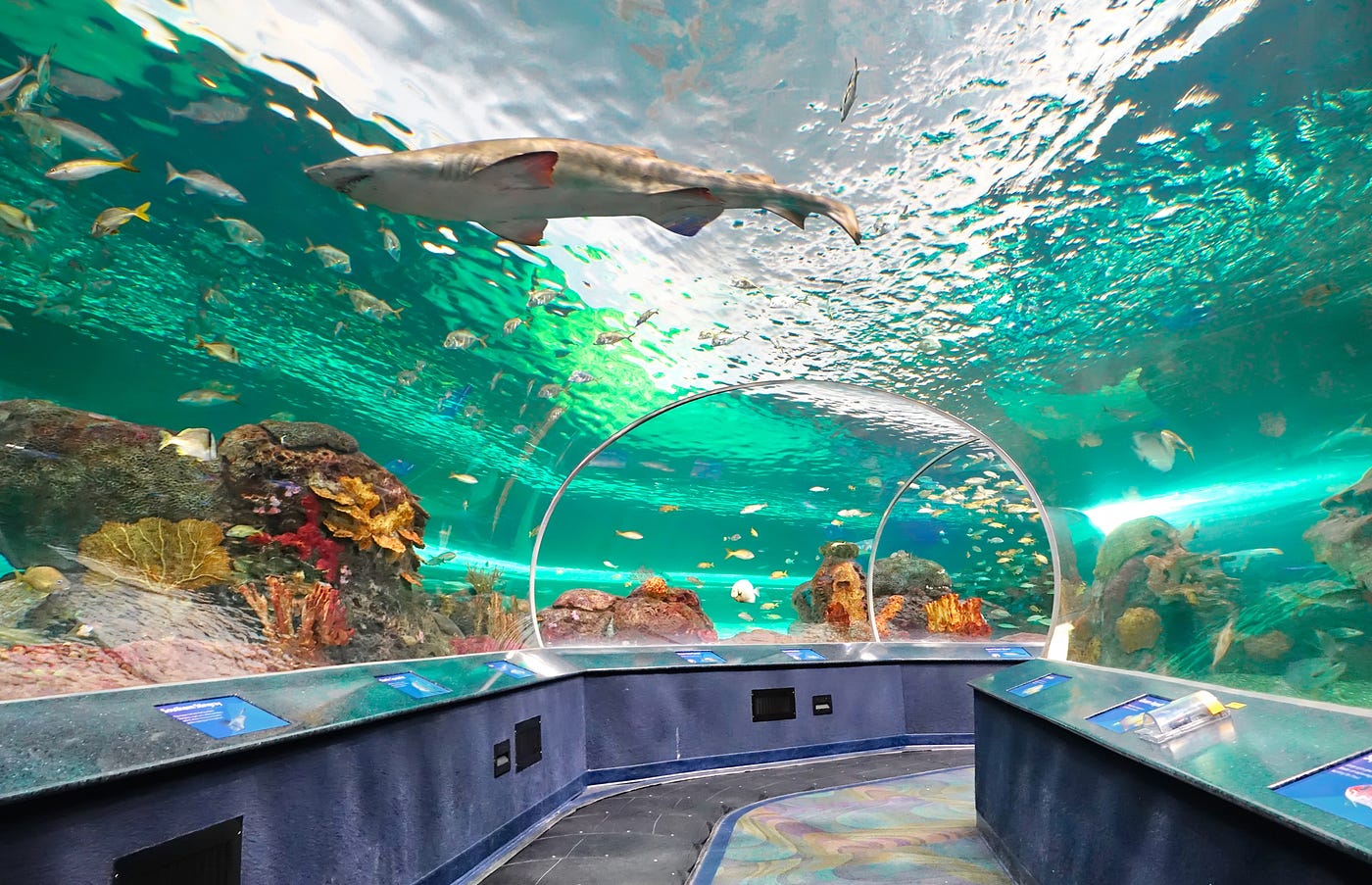 The most beautiful aquariums around the world, by The b, The b