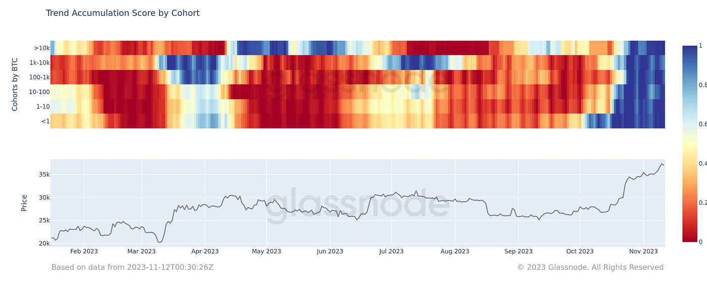 满堂花醉，剑凌清秋｜WTR 11.13