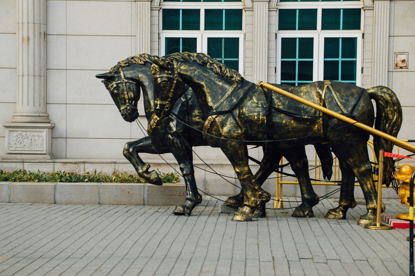 Photo by Hongwei FAN on Unsplash