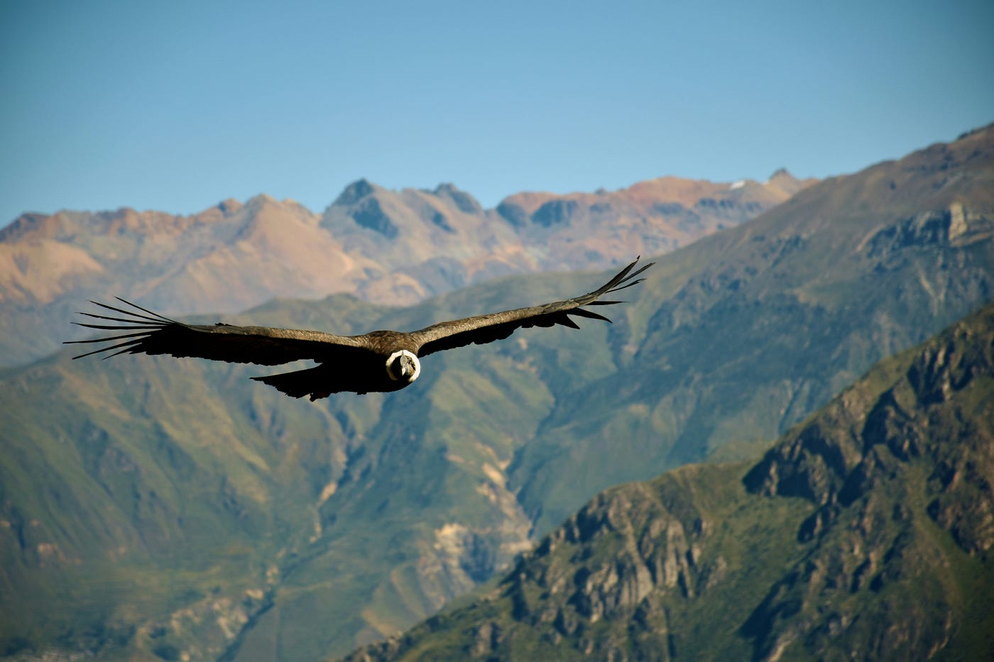 Photo by Jean Vella on Unsplash