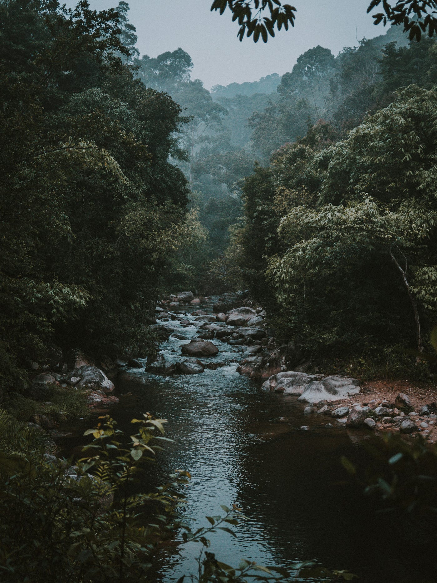 Photo by Deva Darshan on Unsplash