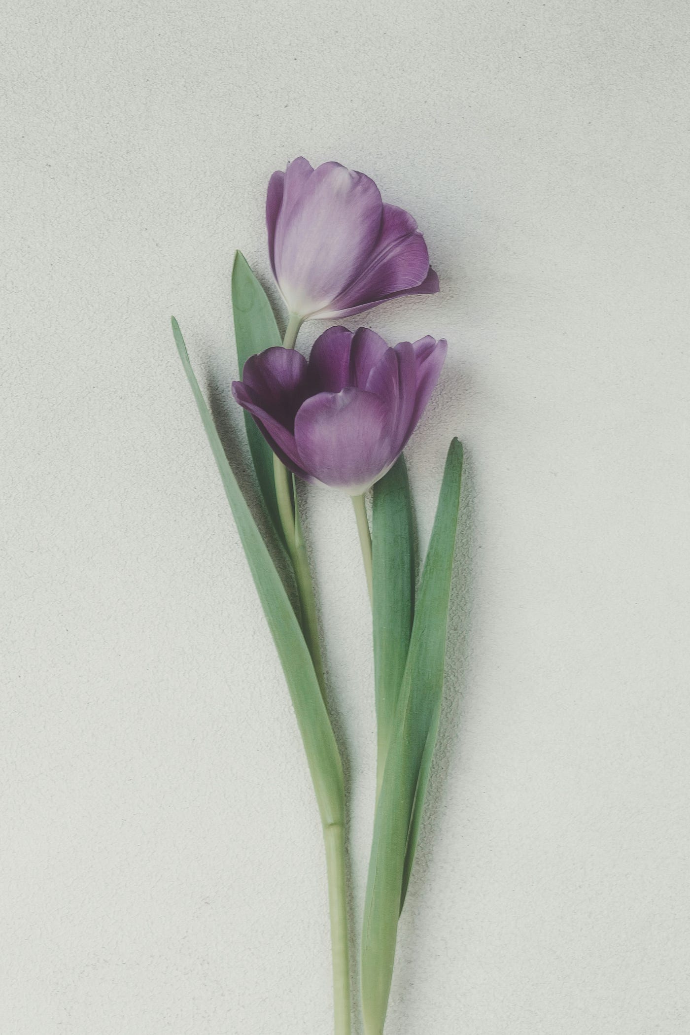 Foto oleh Anya Chernykh di Unsplash