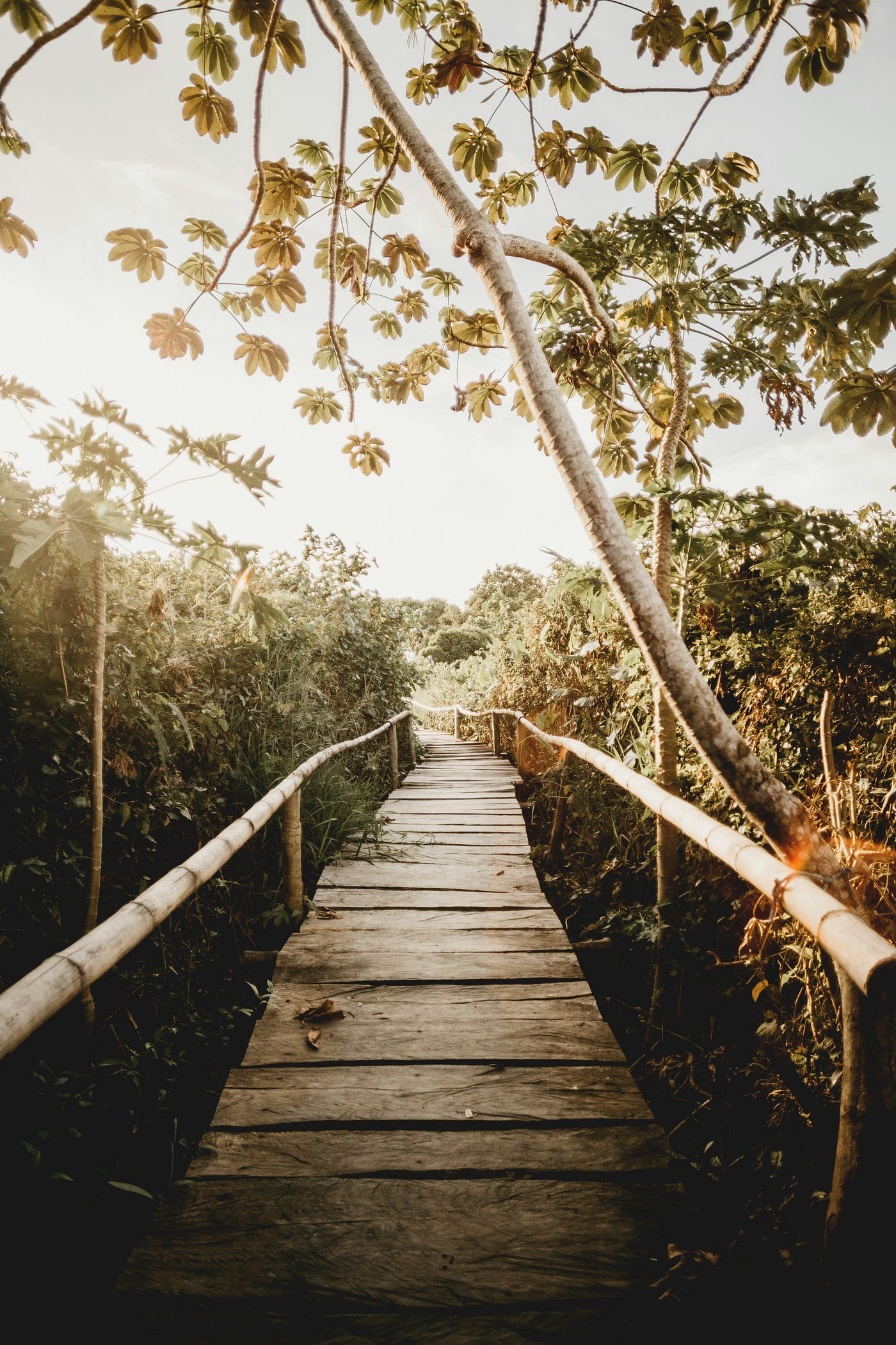 Photo by Jonathan Borba on Unsplash