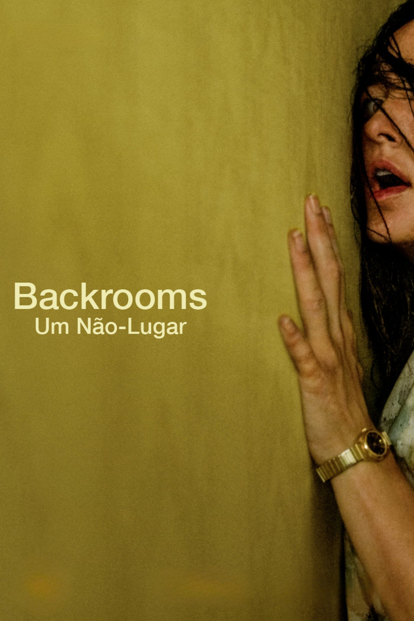Backrooms: Um Não-Lugar entrega o visual e perde a história no caminho